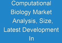 Computational Biology Market Analysis, Size, Latest Development In Manufacturing Technology, Cost Structure And Forecasts To 2026