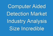 Computer Aided Detection Market Industry Analysis Size Incredible Possibilities and Growth Analysis forecast 2019 -2027
