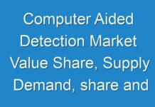 Computer Aided Detection Market Value Share, Supply Demand, share and Value Chain 2024-2025