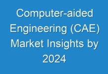 Computer-aided Engineering (CAE) Market Insights by 2024