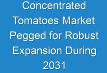 Concentrated Tomatoes Market Pegged for Robust Expansion During 2031