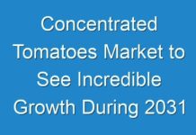 Concentrated Tomatoes Market to See Incredible Growth During 2031