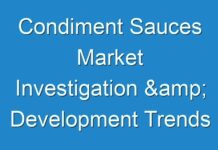 Condiment Sauces Market Investigation & Development Trends Analyzed till 2030