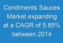 Condiments Sauces Market expanding at a CAGR of 5.85% between 2014 and 2024