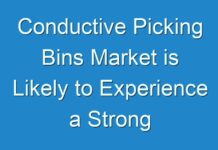 Conductive Picking Bins Market is Likely to Experience a Strong Growth During 2024-2030
