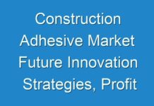 Construction Adhesive Market Future Innovation Strategies, Profit Analysis, Forecast till 2031
