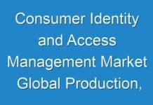 Consumer Identity and Access Management Market Global Production, Growth, Share, Demand and Applications Forecast to 2030