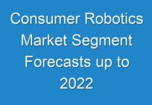 Consumer Robotics Market Segment Forecasts up to 2024