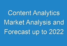 Content Analytics Market Analysis and Forecast up to 2024
