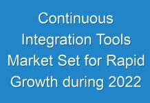 Continuous Integration Tools Market Set for Rapid Growth during 2024 – 2030