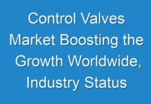 Control Valves Market Boosting the Growth Worldwide, Industry Status and Growth opportunities for Leading Players
