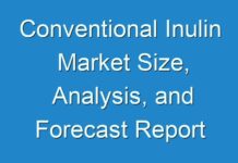 Conventional Inulin Market Size, Analysis, and Forecast Report 2018-2028