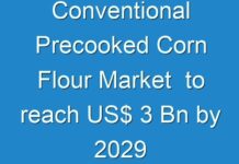 Conventional Precooked Corn Flour Market to reach US$ 3 Bn by 2029