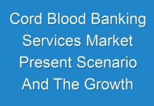 Cord Blood Banking Services Market Present Scenario And The Growth Prospects With Forecast 2019 – 2027
