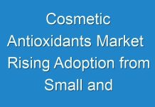 Cosmetic Antioxidants Market Rising Adoption from Small and Medium-sized Enterprises to Fuel Growth 2031