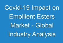Covid-19 Impact on Emollient Esters Market – Global Industry Analysis 2025