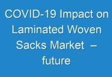 COVID-19 Impact on Laminated Woven Sacks Market – future development, manufacturers, trends, share, size During Forecast period 2019 -2027