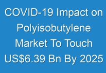 COVID-19 Impact on Polyisobutylene Market To Touch US$6.39 Bn By 2025