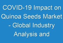 COVID-19 Impact on Quinoa Seeds Market – Global Industry Analysis and Forecast 2024