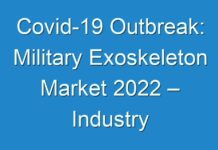 Covid-19 Outbreak: Military Exoskeleton Market 2024 – Industry Opportunities, Challenges, Value Chain And Sales Channels Analysis 2030