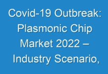 Covid-19 Outbreak: Plasmonic Chip Market 2024 – Industry Scenario, Strategies, Growth Factors And Forecast 2027