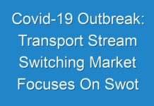 Covid-19 Outbreak: Transport Stream Switching Market Focuses On Swot Analysis, Industry Synopsis, Development Plans 2024 To 2027