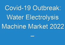 Covid-19 Outbreak: Water Electrolysis Machine Market 2024 – Industry Opportunities, Challenges, Value Chain And Sales Channels Analysis 2027