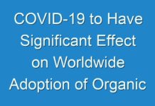 COVID-19 to Have Significant Effect on Worldwide Adoption of Organic Skin Care in 2024