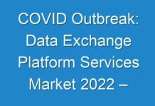 COVID Outbreak: Data Exchange Platform Services Market 2024 – Competitive Landscape and Growth Opportunity, Industry Status and Forecast to 2027