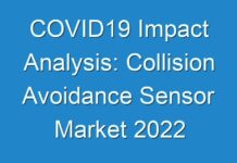 COVID19 Impact Analysis: Collision Avoidance Sensor Market 2024 Research with Size, Growth, Manufacturers, Segments Forecasts To 2027