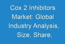 Cox 2 Inhibitors Market: Global Industry Analysis, Size, Share, Growth, Trends, and Forecast 2026