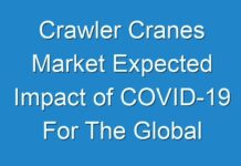 Crawler Cranes Market Expected Impact of COVID-19 For The Global Market 2024 – 2030