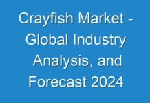 Crayfish Market – Global Industry Analysis, and Forecast 2024