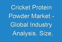 Cricket Protein Powder Market – Global Industry Analysis, Size, Share, Trends, Growth, and Forecasts, 2024 to 2030