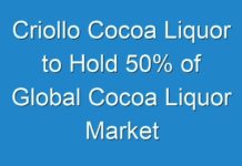 Criollo Cocoa Liquor to Hold 50% of Global Cocoa Liquor Market Volumes Through 2026