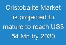 Cristobalite Market is projected to mature to reach US$ 54 Mn by 2030