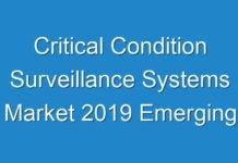 Critical Condition Surveillance Systems Market 2019 Emerging Technologies, Trends, Size, Industry Segments And Profit Growth By Forecast To 2026
