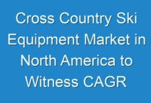 Cross Country Ski Equipment Market in North America to Witness CAGR of 4.6% and Increase in Value Share By the Forecast Period 2024