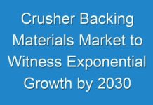 Crusher Backing Materials Market to Witness Exponential Growth by 2030