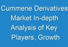 Cummene Derivatives Market In-depth Analysis of Key Players, Growth Opportunities and Forecast till 2031