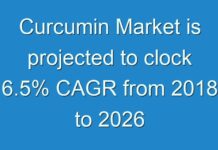 Curcumin Market is projected to clock 6.5% CAGR from 2018 to 2026