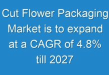 Cut Flower Packaging Market is to expand at a CAGR of 4.8% till 2027