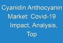 Cyanidin Anthocyanin Market: Covid-19 Impact, Analysis, Top Manufacturers, Share, Growth, Statistics, Opportunities and Forecasts To 2026