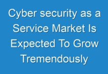 Cyber security as a Service Market Is Expected To Grow Tremendously By 2025