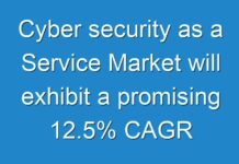 Cyber security as a Service Market will exhibit a promising 12.5% CAGR