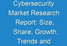 Cybersecurity Market Research Report: Size, Share, Growth, Trends and Forecast 2030