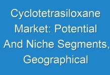 Cyclotetrasiloxane Market: Potential And Niche Segments, Geographical Regions Exhibiting Promising Growth 2028