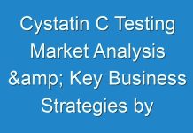 Cystatin C Testing Market Analysis & Key Business Strategies by Leading Industry Players