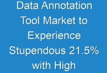 Data Annotation Tool Market to Experience Stupendous 21.5% with High Uptake in North America: Fact.MR
