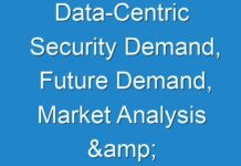 Data-Centric Security Demand, Future Demand, Market Analysis & Outlook to 2030